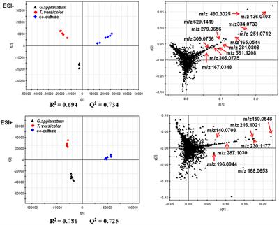 Metabolomics Investigation of an Association of Induced Features and Corresponding Fungus during the Co-culture of Trametes versicolor and Ganoderma applanatum